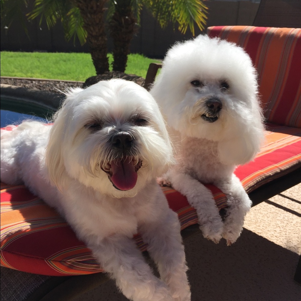 Meet your Posher, Debbie